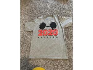 Boys Large Disney Gray 2020 Florida Vacation Graphic Tee
